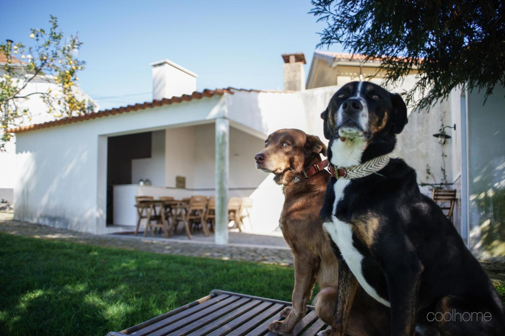 Willa 12 Casa D'Avo Albergaria-a-Velha Zewnętrze zdjęcie